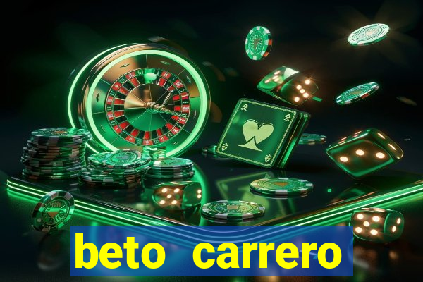 beto carrero cidades proximas